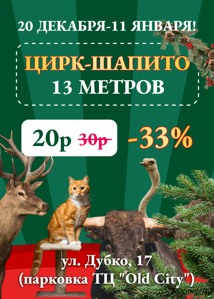 Цирк-шапито "13 метров"