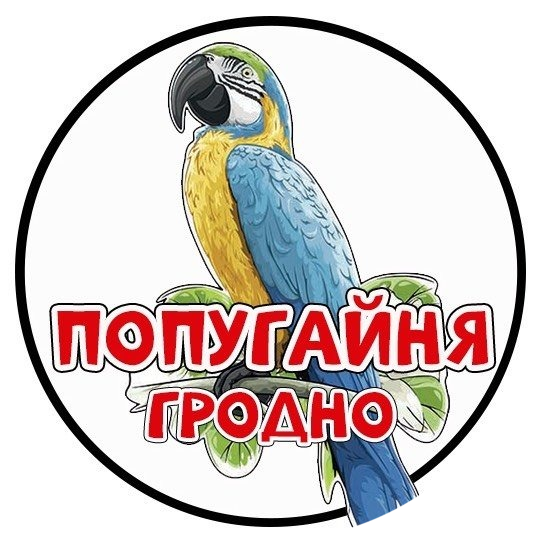 Посещение попугайни от 9 р. в Гродно
